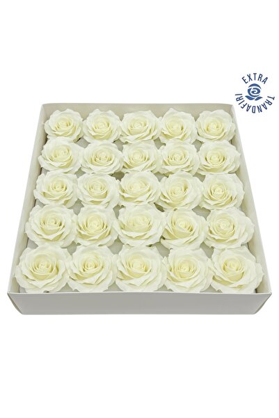 AFO Set of 25 Extra Ivoire Soap Roses