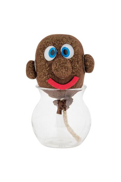 OEM Cap cu Seminte de Iarba