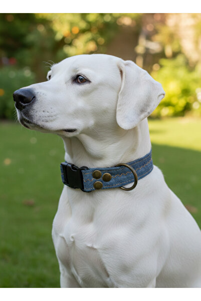 balkonda طوق للكلاب قابل للتعديل للسلالات الصغيرة والمتوسطة والكبيرة بعرض 2.5...