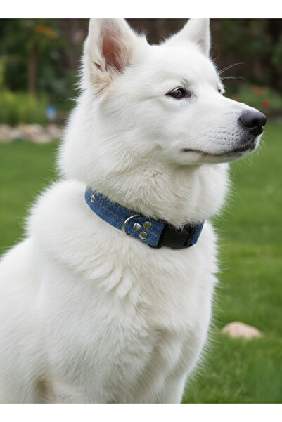 balkonda طوق للكلاب قابل للتعديل للسلالات الكبيرة بعرض 2.5 سم من قماش الدنيم