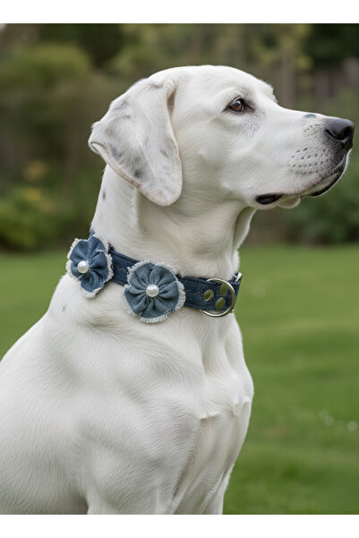 balkonda طوق للكلاب قابل للتعديل للسلالات الصغيرة والمتوسطة والكبيرة بعرض 2.5...