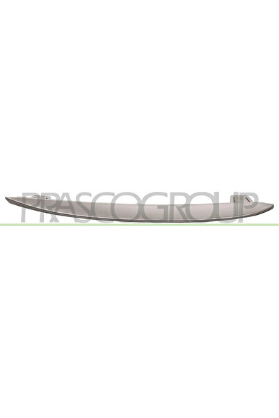 PRASCO Right Radiator Grille Protection Strip Bmw 5 2009-2017