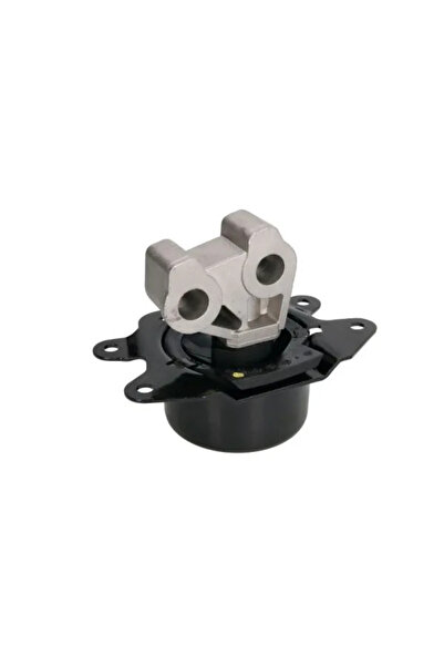 REINHOCH Suport Motor Fata Stanga Opel Corsa C/Corsa D