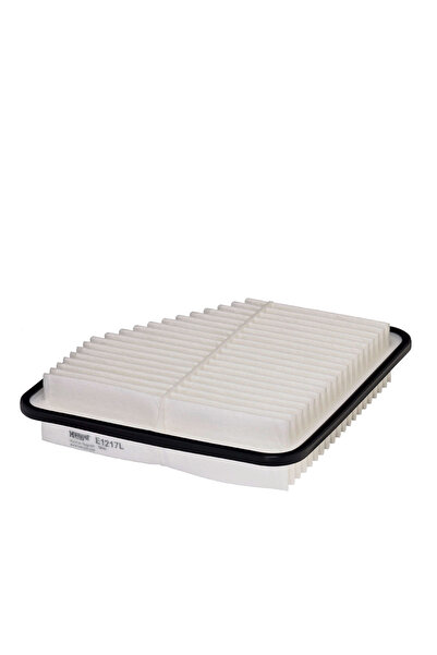 Hengst Fılter Filtru Aer Lexus Es Lotus Evora