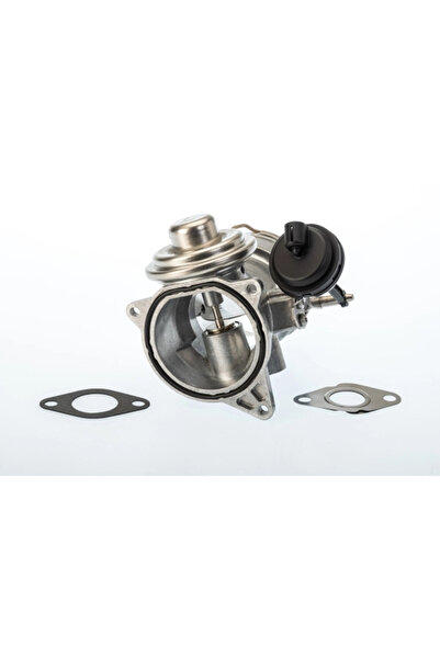 BorgWarner (Wahler) Supapa Egr Vw Touareg