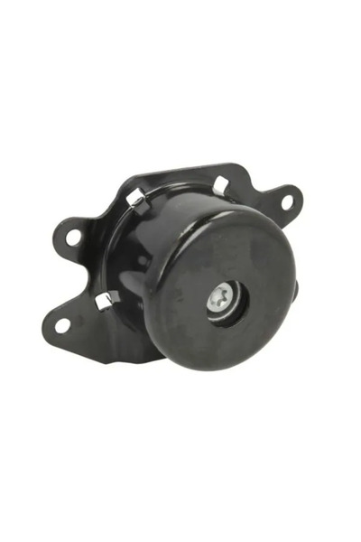 REINHOCH Suport Motor Stanga Opel Combo Autoutilitara/Limuzina Spatioasa/Combo