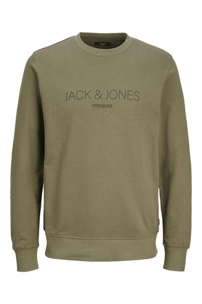 Jack & Jones JPRBLAJARED SWEAT CREW NECK Sea Turtle