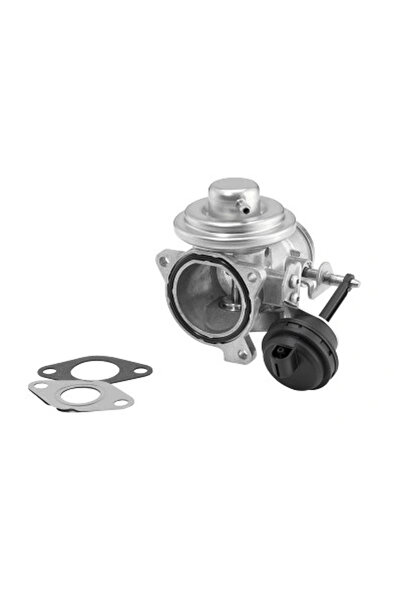 BorgWarner (Wahler) Supapa Egr Multicar Tremo Seat Cordoba/Ibiza 3