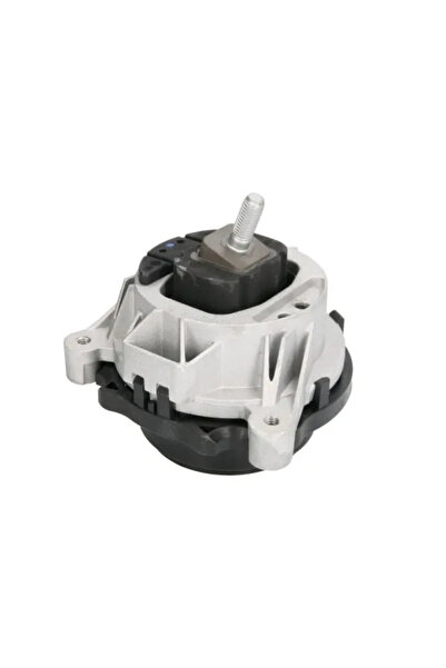 REINHOCH Suport Motor Stanga Bmw 1/3