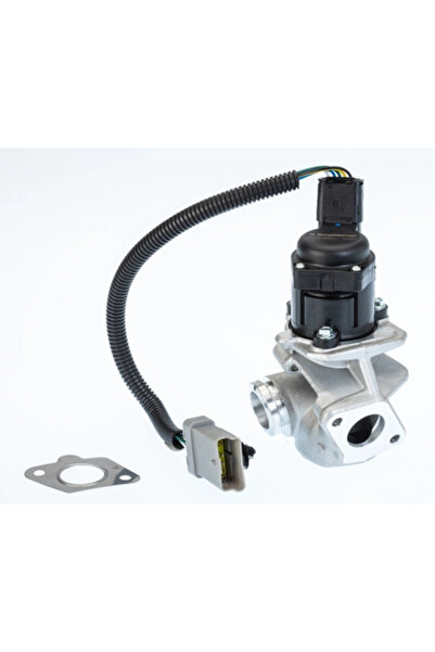 BorgWarner (Wahler) Supapa Egr Ford C-Max/Focus 2 Volvo C30/S40 2/V50