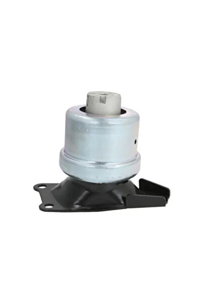 REINHOCH Suport Motor Dreapta Vw Multivan T5/Transporter T5 Bus/Transporter T...