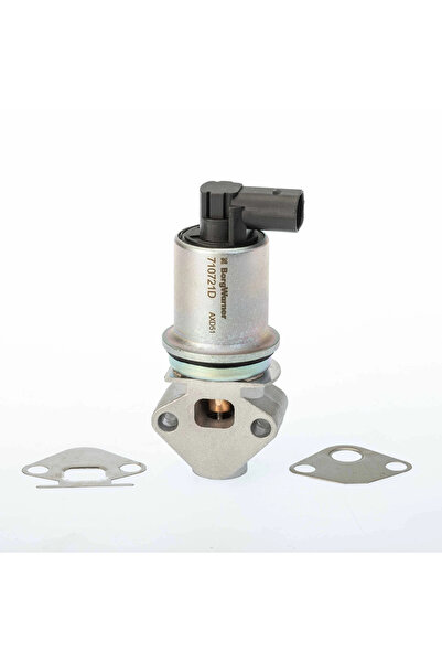 BorgWarner (Wahler) Supapa Egr Seat Cordoba/Ibiza 3 Skoda Fabia 1 2001-2014