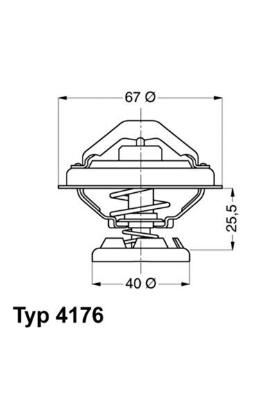 BorgWarner (Wahler) Termostat Lichid Racire Mercedes-Benz 124 T-Model/124 Lim...