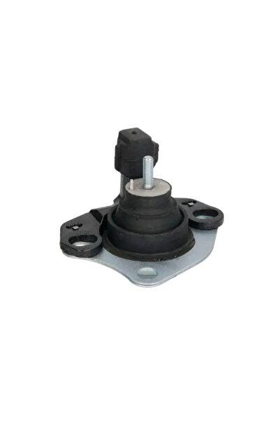 REINHOCH Suport Motor Fata Renault Megane 1/Megane Scenic/Scenic 1 Microbus 1...