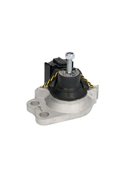 REINHOCH Suport Motor Dreapta Renault Clio 2/Clio Symbol 1/Kangoo