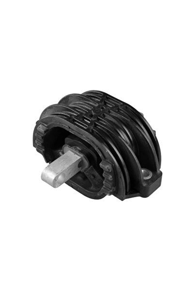 TEDGUM Suport Transmisie Automata Spre Cutia De Viteze Bmw 5