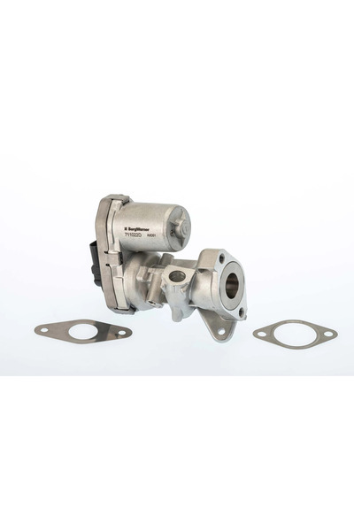 BorgWarner (Wahler) EGR Valve Citroen Jumper 2 Bus/Jumper 2 Body/Jumper 2 Pla...