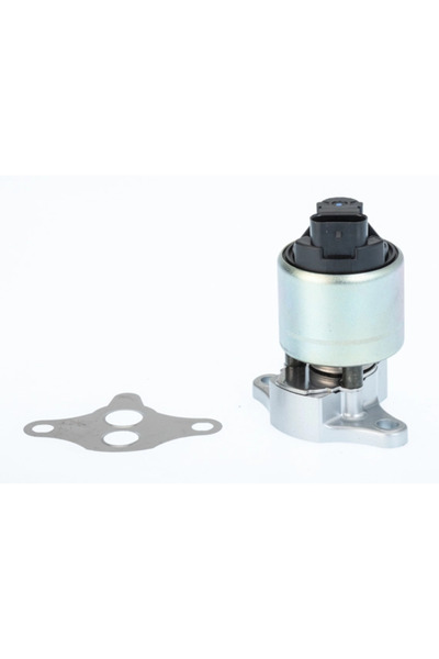 BorgWarner (Wahler) Supapa Egr Opel Astra G/Zafira A Microbus Vauxhall Astra ...