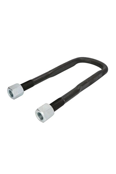 STR Brida Arc Scania P 1