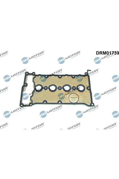 DR.MOTOR AUTOMOTIVE Garnitura Capac Supape Audi A4 B6/A4 B7/A6 C5 Vw Passat B5.5