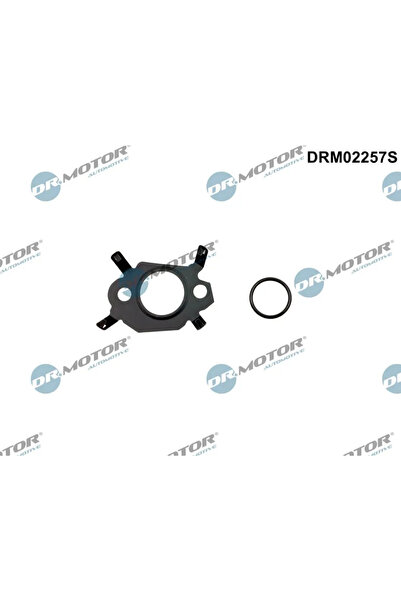 DR.MOTOR AUTOMOTIVE Set Garnitura Sistem Egr Citroen C4 2/C4 Grand Picasso 2/...