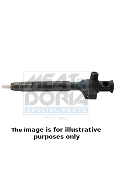 MEATDORIA Injector Citroen C4 2/C4 Grand Picasso 2/C4 Picasso 2 Ford C-Max 2/...