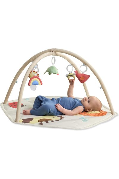 Skip Hop صالة ألعاب هندسية رائعة للأطفال الرضع