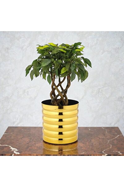 Generic Premium Golden Ribbed Metal Planter – Polished Mild Steel Decorative Flower Pot for Indoor Plants,