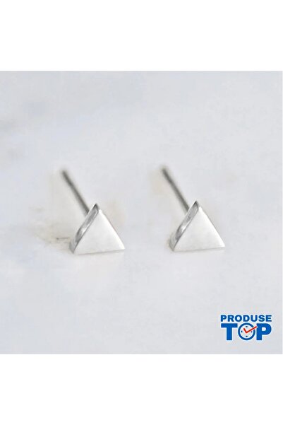 Produse.Top Fashion Earrings in Silver Stainless Steel Geometric Shape CW84