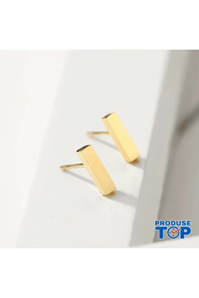 Produse.Top Fashion Earrings Made of Stainless Steel Plated with 14K Gold wit...