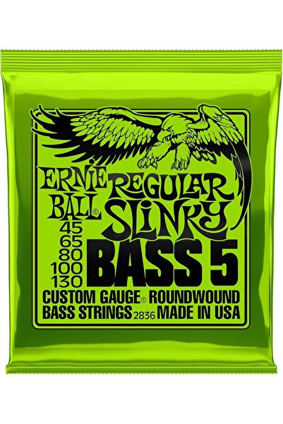 Ernie Ball Regular Slinky 5-String Nickel Wound Electric Bass Strings - 45-13...