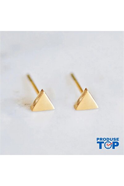 Produse.Top Fashion Earrings Made of Stainless Steel Plated with 14K Gold Geo...