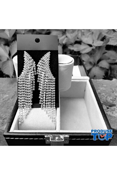 Produse.Top Elegant Long Silver Earrings with Fringes and Rhinestones CW92