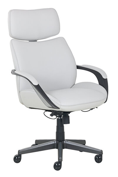 La-Z-Boy كرسي مكتب تنفيذي | كرسي مريح مع دعم كامل للجسم | وسادة للرأس والظهر،...