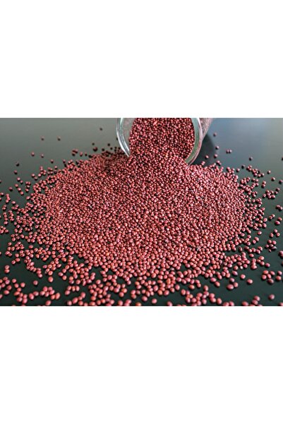 Dört Mevsim Tohumculuk Sorgum Sudan Otu Tohumu (10 KG)