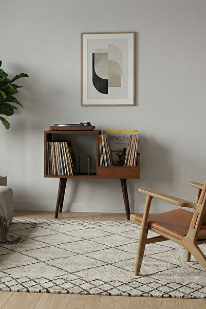 DEQQU Pera 44x78cm Ahşap Retro Pikap Sehpası, Metal Raflı Plak Organizer, Pla...