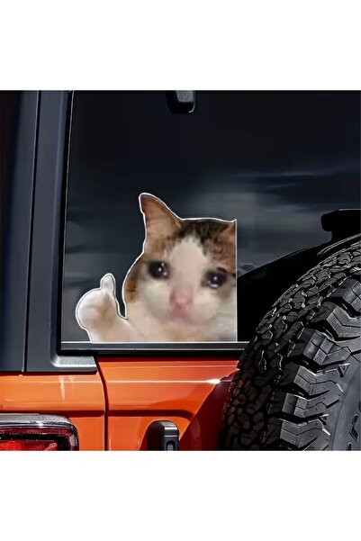 ÖZGÜL REKLAM Üzgün Kedi Çıkartma viral kedi sticker Araba sticker / Motor Sti...