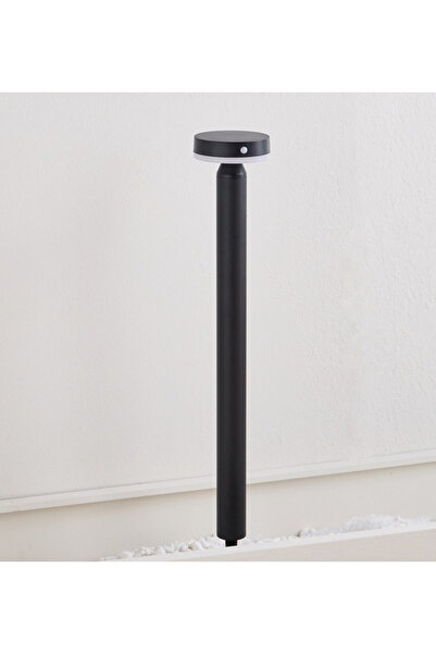 Generic Bellhop Solar/USB Rechargeable Motion Sensor Pathway Light - 70 cm