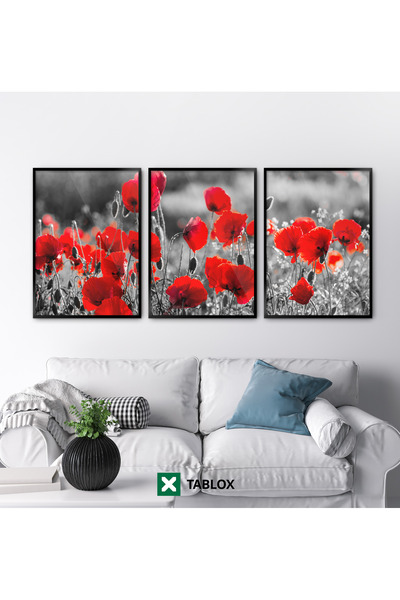 TABLOX Set de pictură MDF decorativ minimalist, cu flori de mac, roșu, cu 3 p...