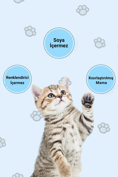 Happy Kısırlaştırılmış Somonlu Kuru Kedi Maması 12 Kg
