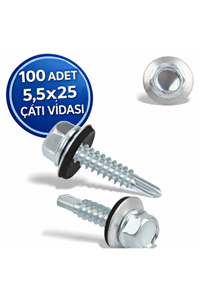 DESIPHON Trapez Çatı Vidası 5.5x25 mm 100 Adet Matkap Uçlu Sac Akıllı Vida Ça...