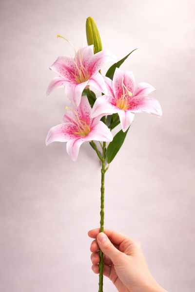 ALSHOP Premium Kalite Yapay 3 Çiçekli Tohumlu Islak Dokulu Zambak Lilyum Deme...