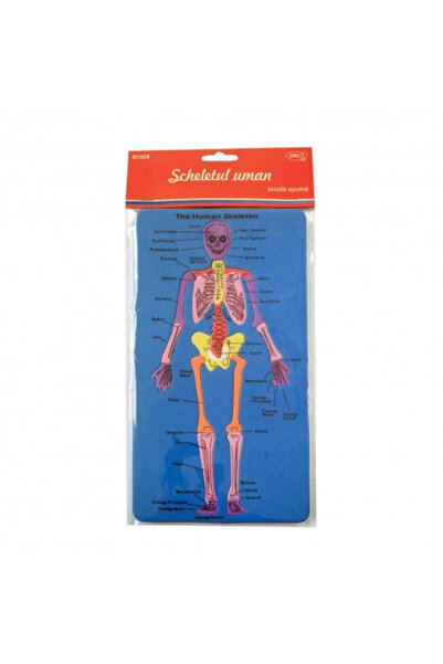 daço Creative set Human Skeleton - SC028