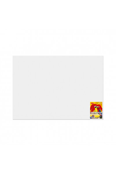 daço Carton Color Alb 270G/MP 70x100 10 Coli Daco