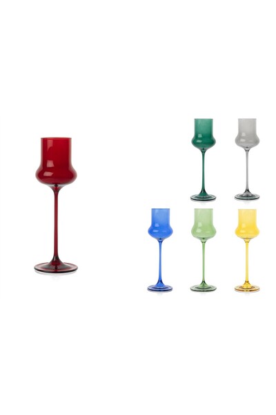 Mikasa Moor Molly Set of 6 Colorful Tall Coffee Side Glasses
