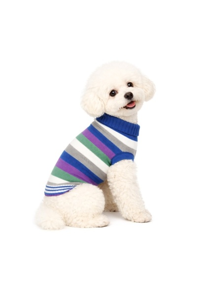 Rinaldo Franco spa Pulover tricotat cu dungi pentru câini - XL