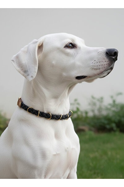 balkonda Dog Collar Adjustable 2.5 cm Width Leather All Breeds