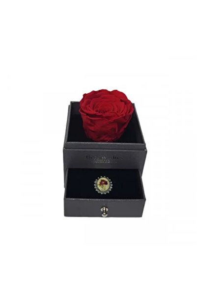 FashionForYou Black drawer box with cryogenic rose and brooch, various colors...