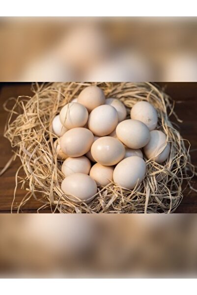 Gülşen Hanım'ın Çiftliği Doğal Köy Yumurtası – Gerçek Lezzet, Gerçek Besin -3...