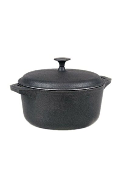 Perfect Home Cast iron saucepan with lid 32cm
